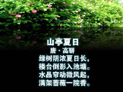 亲子阅读《农历的天空》作文