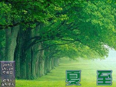 亲子阅读《农历的天空》作文