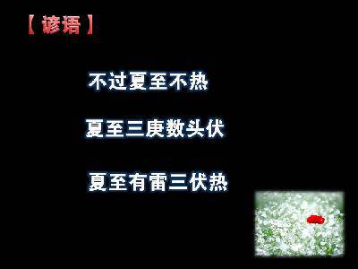 亲子阅读《农历的天空》作文