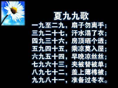 亲子阅读《农历的天空》作文