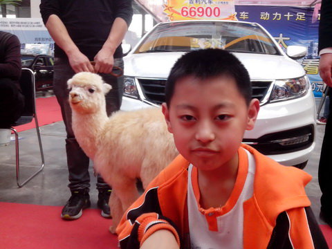 夏花秋实点点金作文