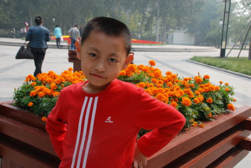 夏花秋实点点金作文