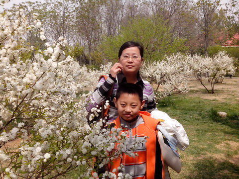 夏花秋实点点金作文