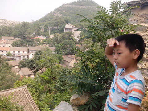 夏花秋实点点金作文