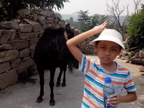 夏花秋实点点金作文