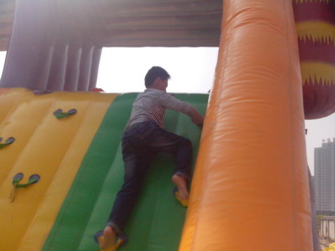 夏花秋实点点金作文