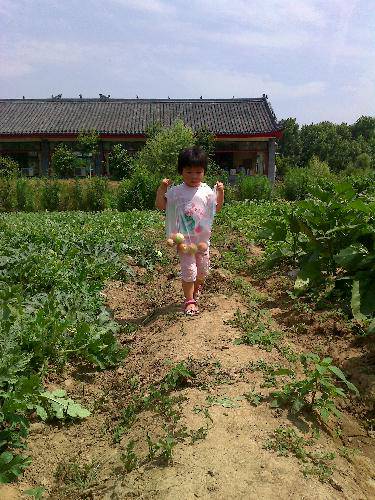 “夏游”果园作文