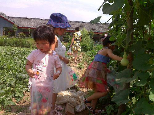 “夏游”果园作文