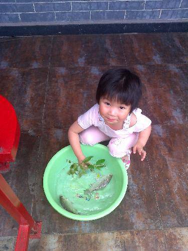 “夏游”果园作文