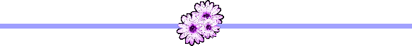 Ѽǧָߣģ -  - ͵Ĳ