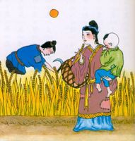 《观刈麦》诗意图 又是收麦季节作文