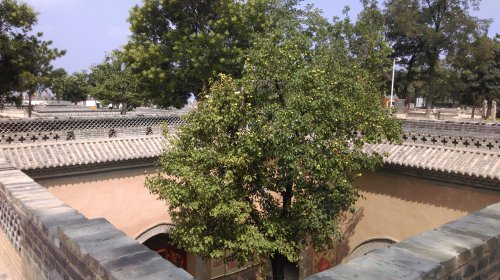 大美豫西(二))作文