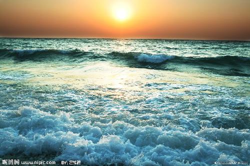 纵浪大化中 风雨看潮生作文