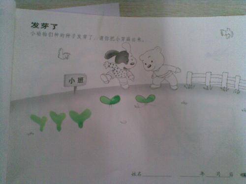 ǩѿˡ