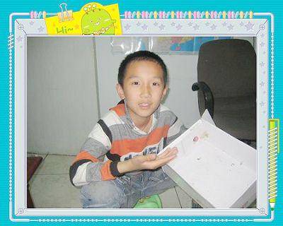 蚕结茧了(养蚕日记四)作文