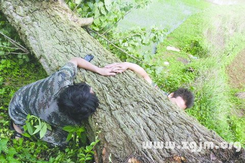 μ紵ϴʲô˼