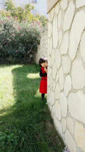 《我的“小镜子”》作文