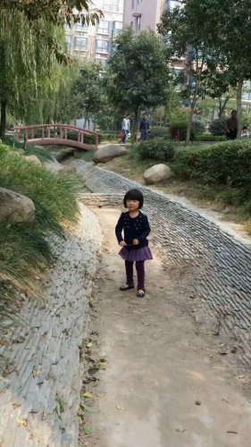 《我的“小镜子”》作文