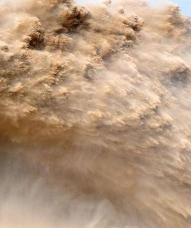 黄河“流鱼”见闻【日记】作文