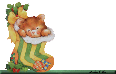 和孩子们一起读书的日子作文