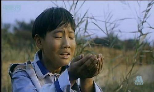 成长的味道 ——观《草房子》有感作文