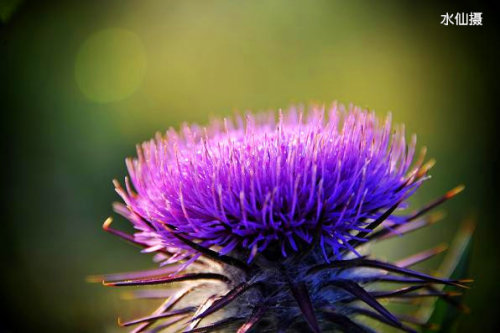 女儿帮我拥有自己的网络电台(炫酷魔法)作文