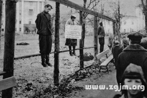 �μ���������ʲô��˼