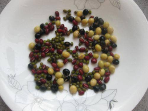 比比谁长得快作文