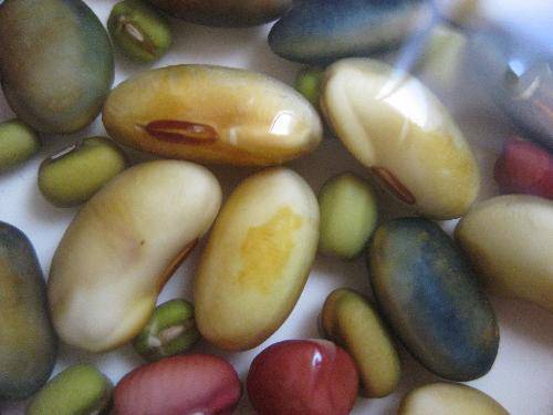 比比谁长得快作文