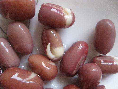 比比谁长得快作文