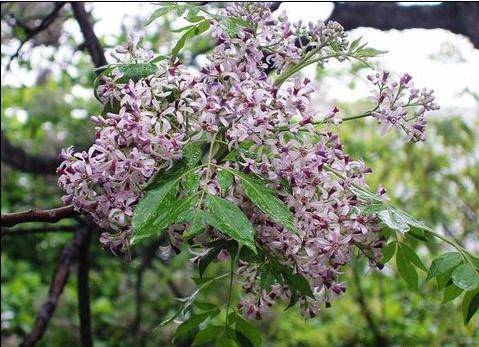 �����ּ�������