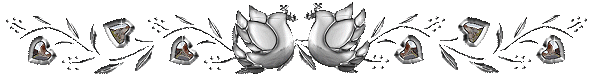Ѽǧָߣ -  - ͵Ĳ