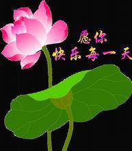 㼯  2013.05.08 ݽ֮