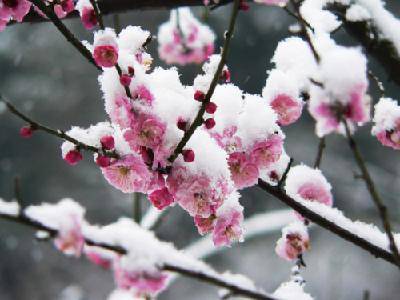 新挑战,新收获作文