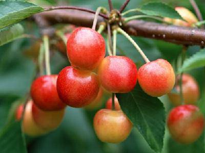 新挑战,新收获作文