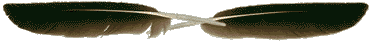 Ѽǧָߣߣ -  - ͵Ĳ  ˣ