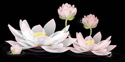 一路书香走来——我的个人阅读史作文