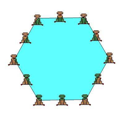 你是怎么数的呢?作文