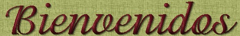 ðҽ˼