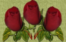 ðҽ˼