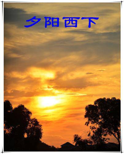 我参与 我快乐作文