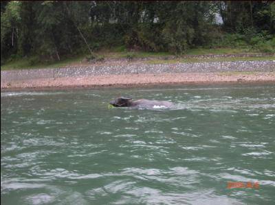 桂林之行——印象漓江作文