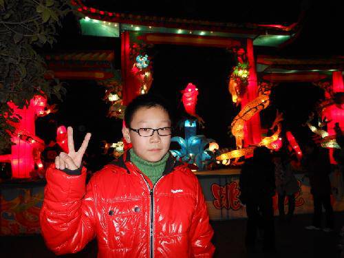 快乐元宵节之---王城公园看花灯作文