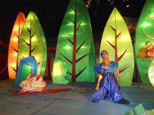 快乐元宵节之---王城公园看花灯作文