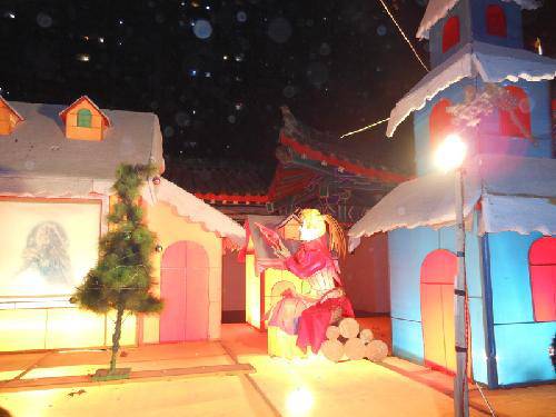 快乐元宵节之---王城公园看花灯作文