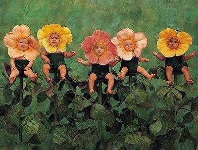 让“更快、更高、更强”的奥运精神激励人生作文