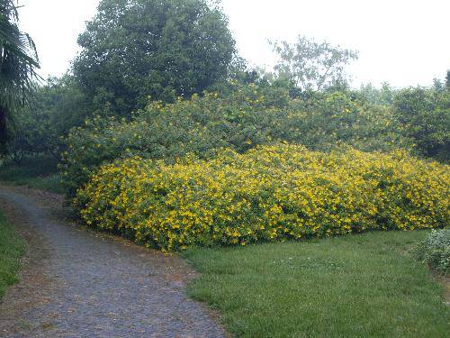 东方绿舟,永远珍藏的回忆作文