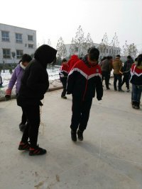 用照片记录故事作文