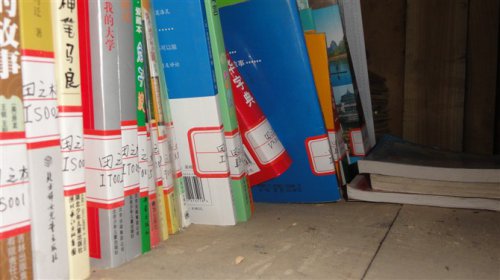 我们的爱心班集体作文