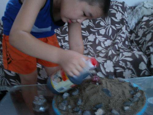 科学小实验(五)火山爆发作文